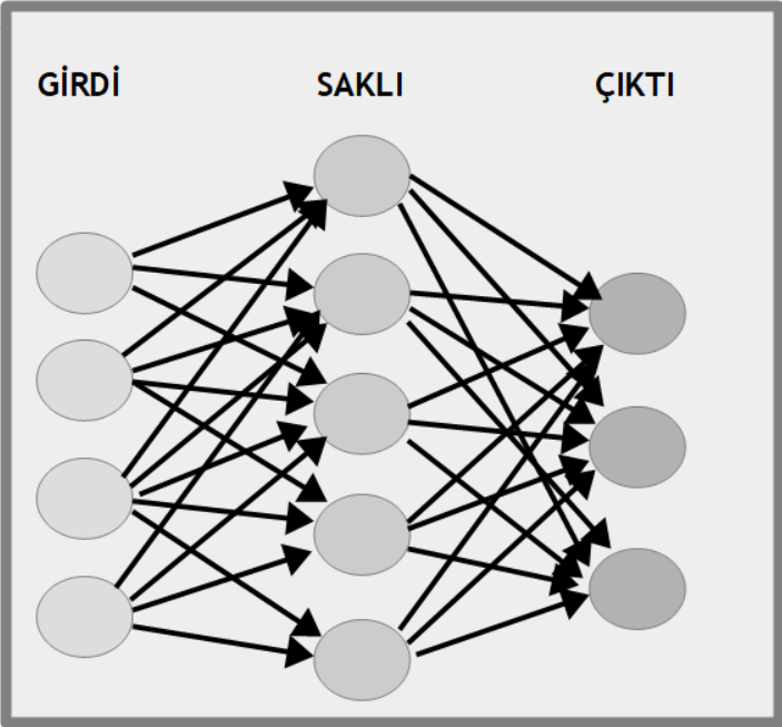 Neural-Networks
