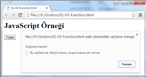 01-03-Language-Function.png